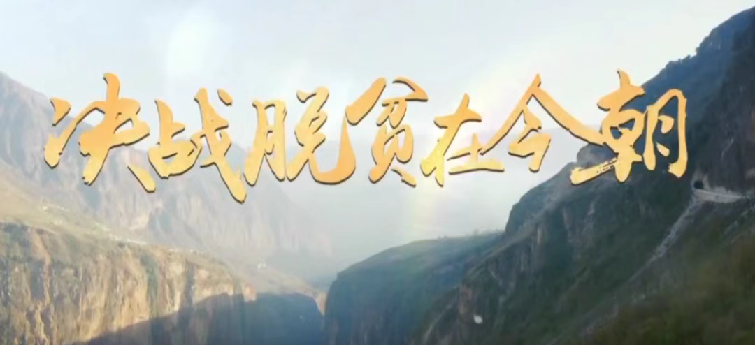 ��ս��ƶ�ڽ�  ����Ӳ��ͷ