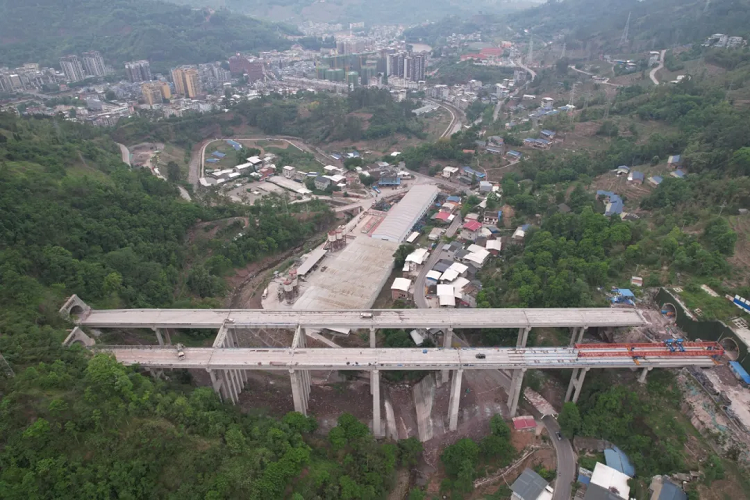 ��Ŀ��̬ | ��������S1-1��Ŀ����˫������